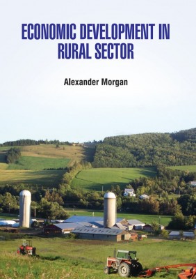 Strategy of Rural Economic Development