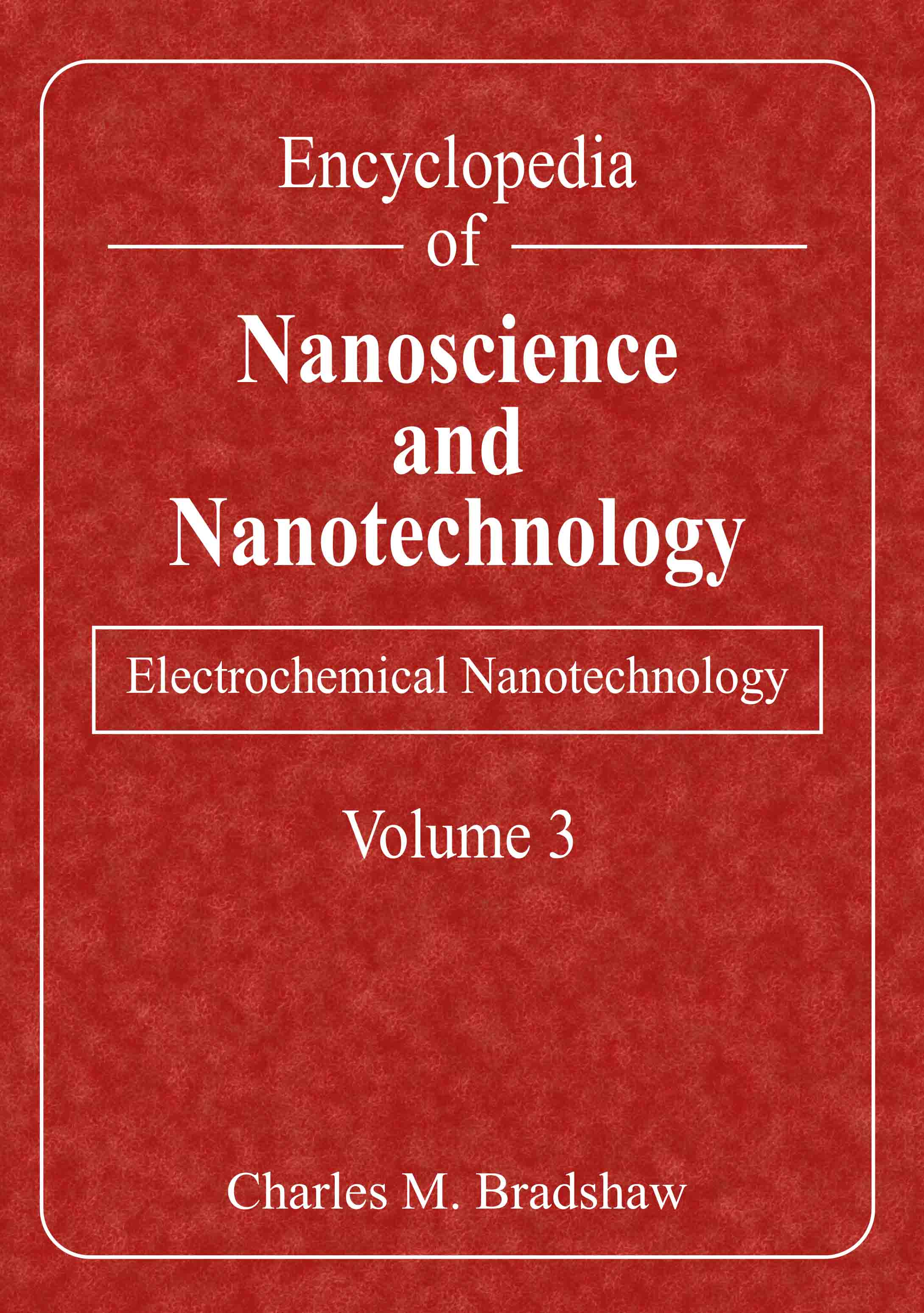 Electrochemical Nanotechnology