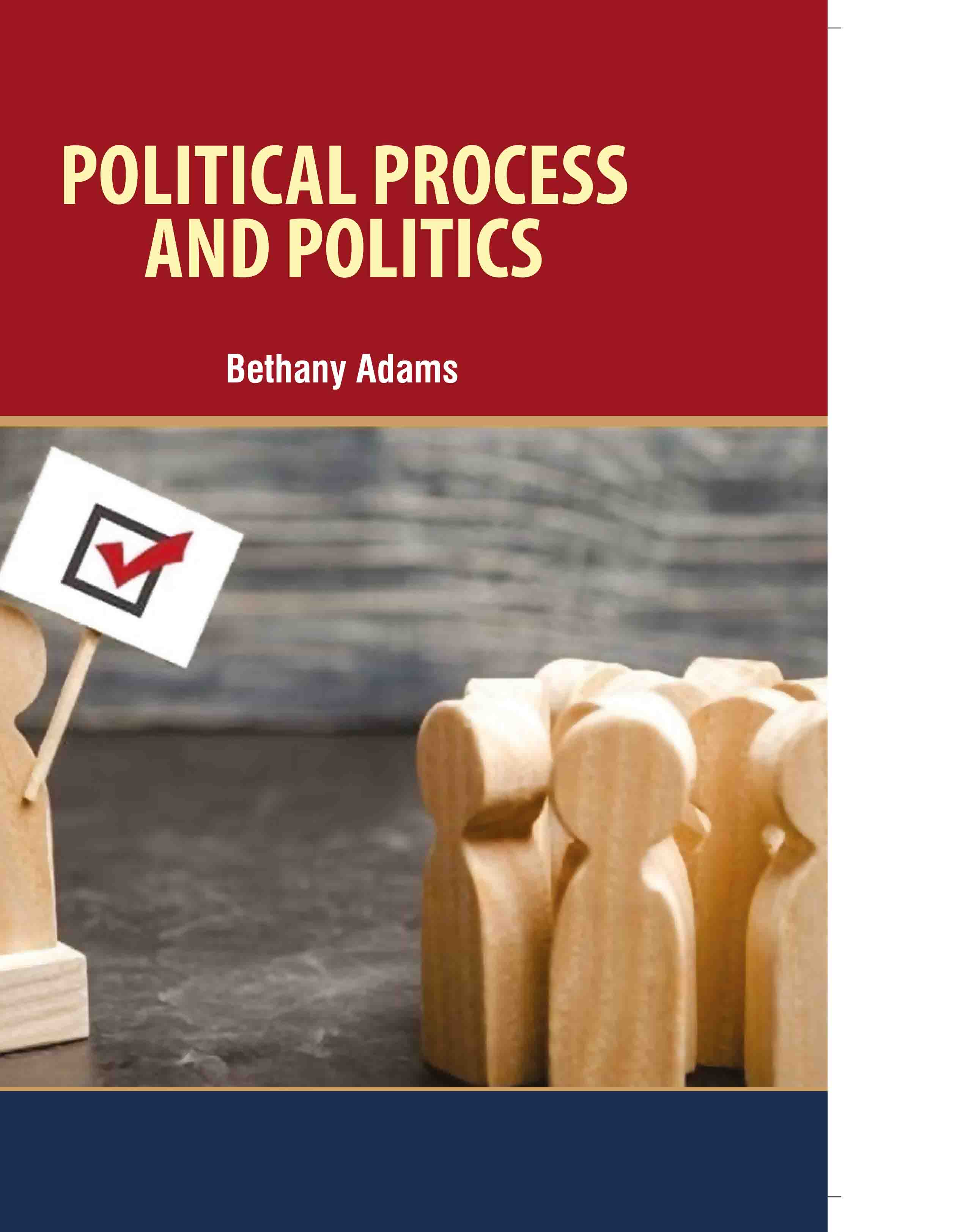 Political Process and Politics